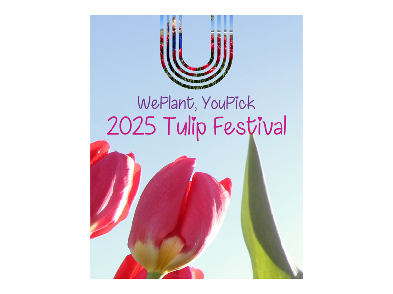 Tulip Festival Social Media Post
